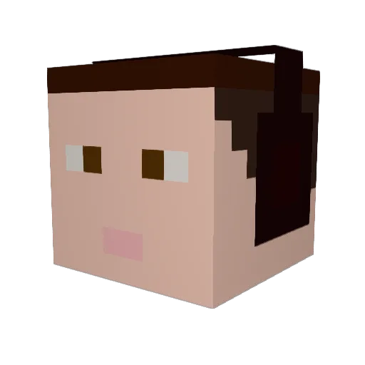 SmallHams Minecraft avatar head, 3D render