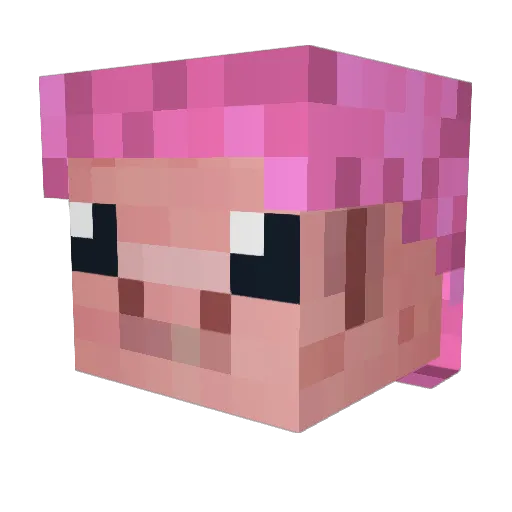 SmallWeirdo Minecraft avatar head, 3D render