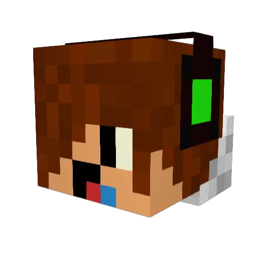 Small_Angus Minecraft avatar head, 3D render