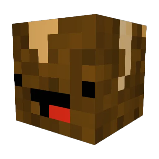 Small_Boy6 Minecraft avatar head, 3D render