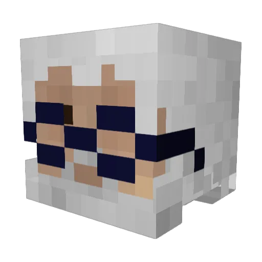 Small_Fry954 Minecraft avatar head, 3D render