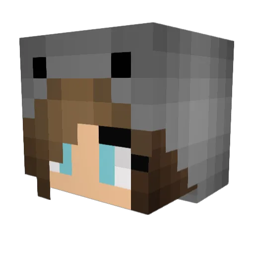 Small_Koala Minecraft avatar head, 3D render