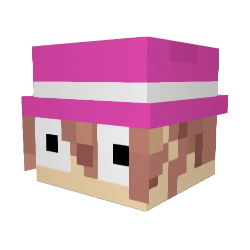 Small_Tai Minecraft avatar head, 3D render