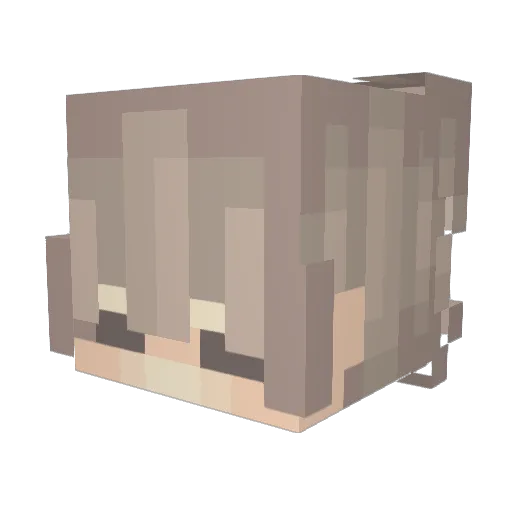 Smallenis Minecraft avatar head, 3D render