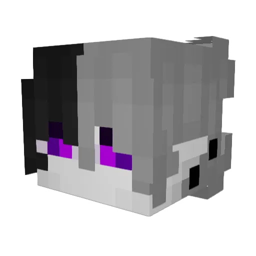 SmallestBeanBoi Minecraft avatar head, 3D render