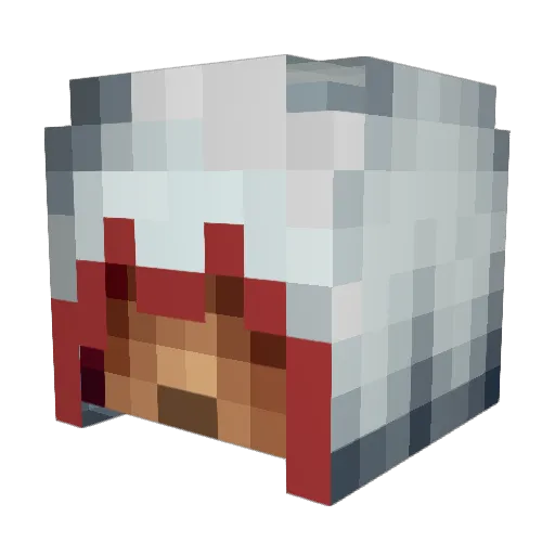 Smallestgamer Minecraft avatar head, 3D render