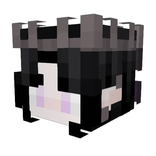 SmalllBeean Minecraft avatar head, 3D render