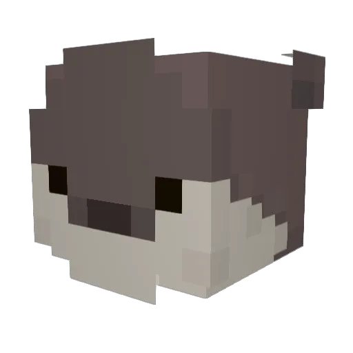 Smalltimeotter Minecraft avatar head, 3D render