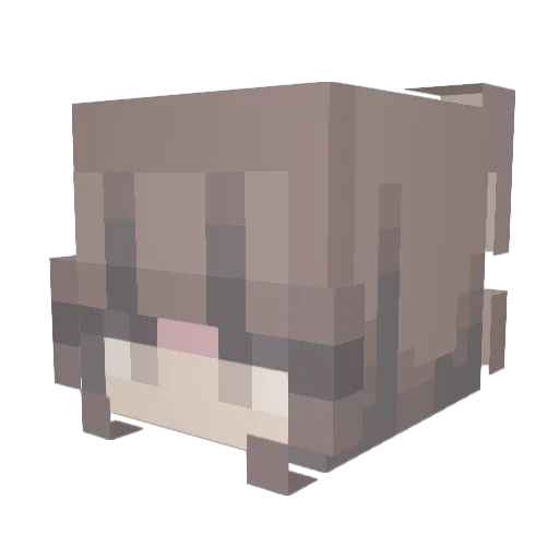 Smally2024 Minecraft avatar head, 3D render