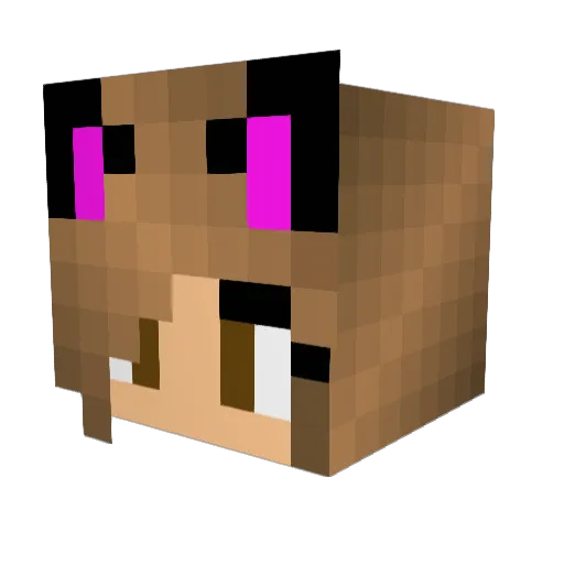 Smallz101 Minecraft avatar head, 3D render
