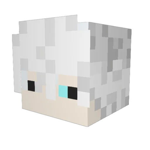 Smart29 Minecraft avatar head, 3D render
