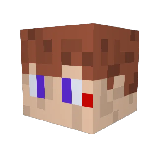 SmartBot1 Minecraft avatar head, 3D render