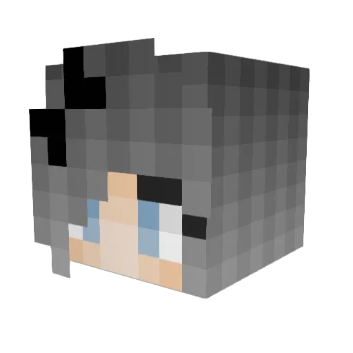 SmartCookie2873 Minecraft avatar head, 3D render