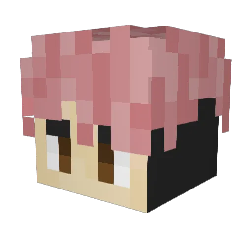 SmartLlamas1 Minecraft avatar head, 3D render