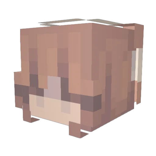 SmartSentinel Minecraft avatar head, 3D render