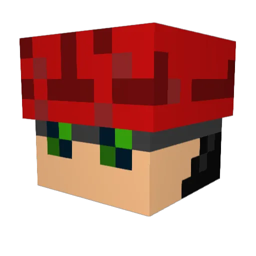 Smart_Fighter Minecraft avatar head, 3D render