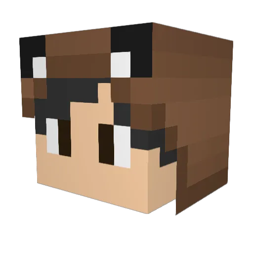 Smarti145 Minecraft avatar head, 3D render