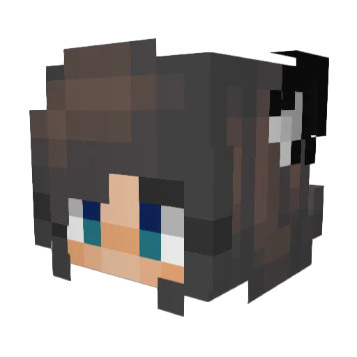 Smartjampanda Minecraft avatar head, 3D render
