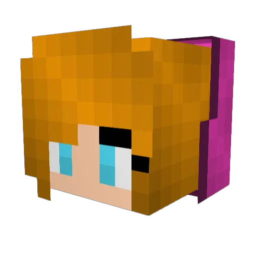SmartySwimmer Minecraft avatar head, 3D render