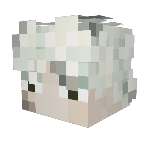 Smash131 Minecraft avatar head, 3D render