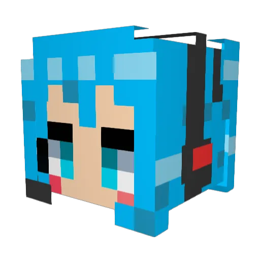 Smashbro256 Minecraft avatar head, 3D render