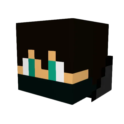 Smashew08 Minecraft avatar head, 3D render