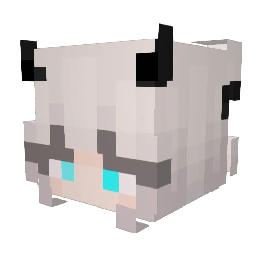Smashlei_01 Minecraft avatar head, 3D render