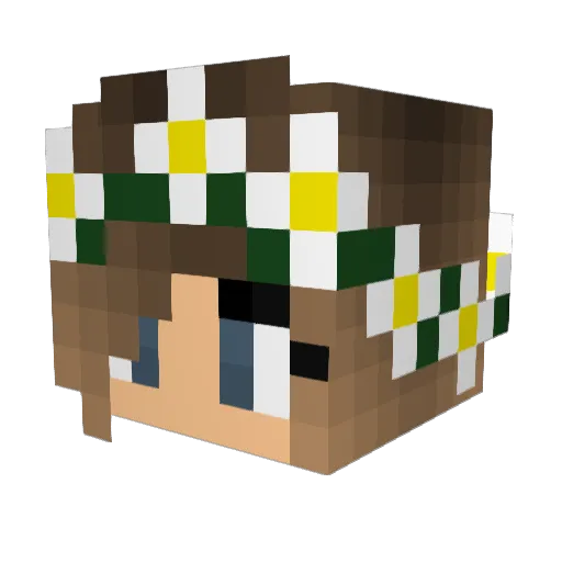Smashleyiscool Minecraft avatar head, 3D render