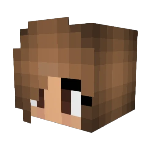 Smashlynn5 Minecraft avatar head, 3D render