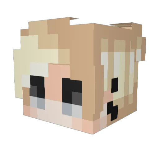 Smax1396 Minecraft avatar head, 3D render