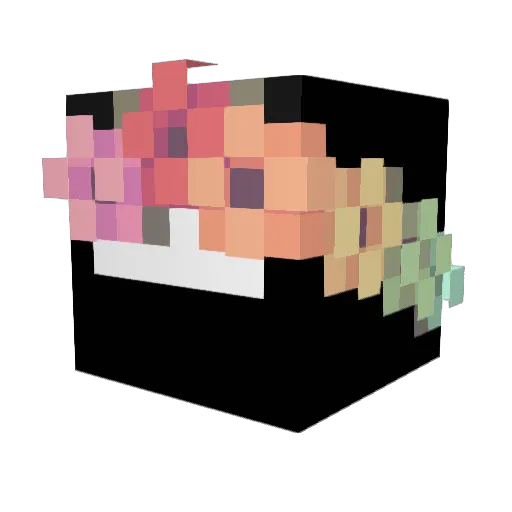 Smee___ Minecraft avatar head, 3D render