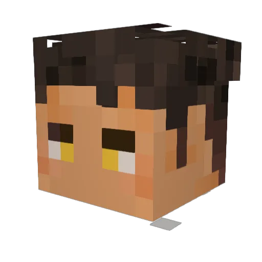 Smeemers Minecraft avatar head, 3D render