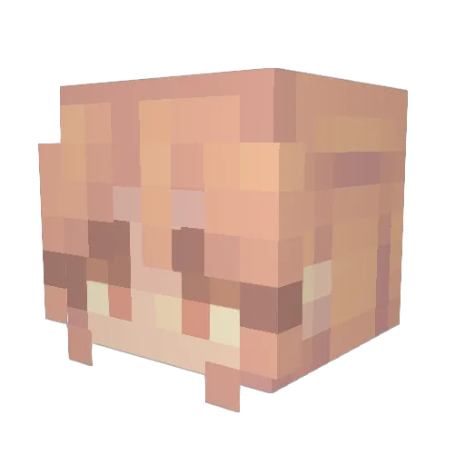 Smeet_09 Minecraft avatar head, 3D render