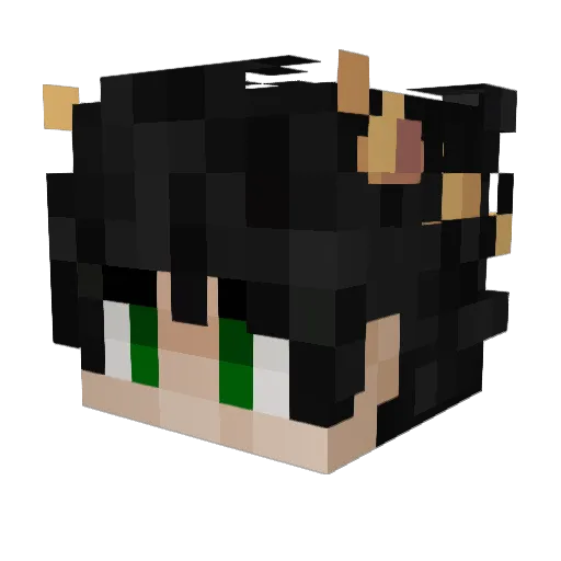SmektHet Minecraft avatar head, 3D render