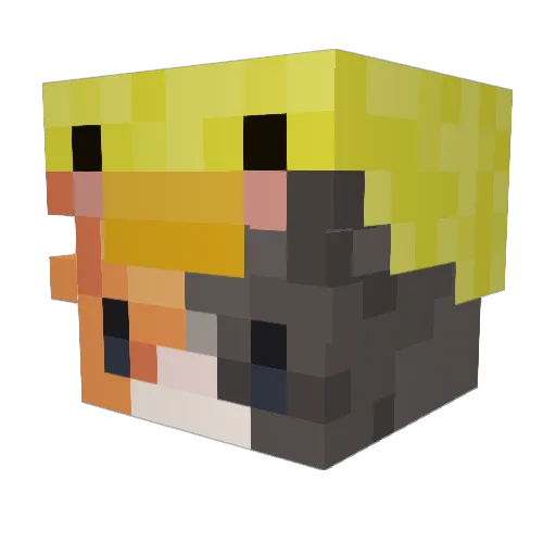 SmelliotTheWiz Minecraft avatar head, 3D render