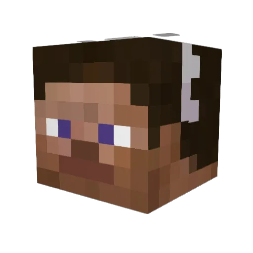 Smellmer Minecraft avatar head, 3D render