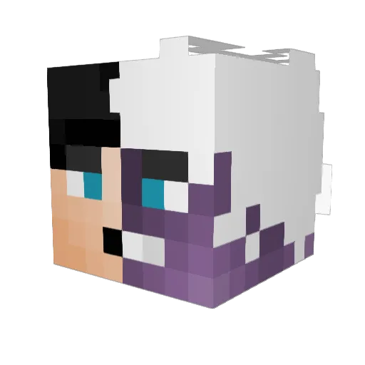Smellmore_ Minecraft avatar head, 3D render