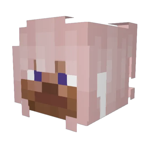 SmellyAirBaby79 Minecraft avatar head, 3D render