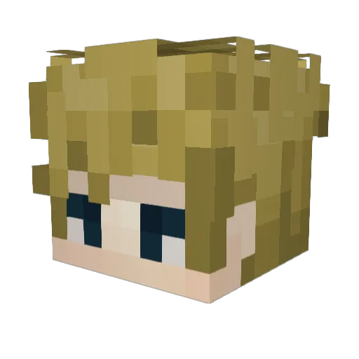 SmellyChunkss Minecraft avatar head, 3D render