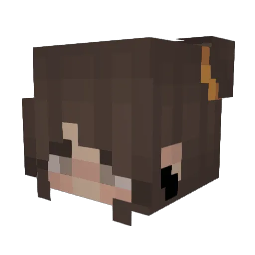 SmellyNoelley Minecraft avatar head, 3D render