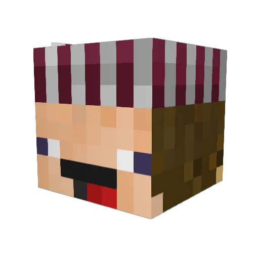 SmellyPajamas Minecraft avatar head, 3D render