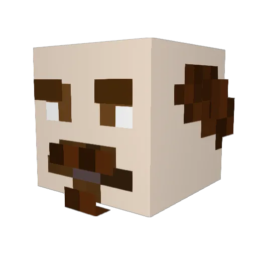 SmellyPoo30 Minecraft avatar head, 3D render