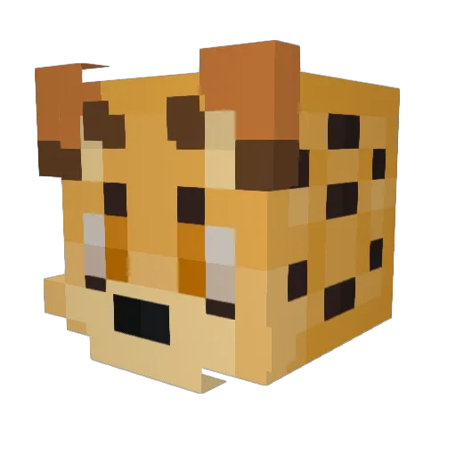 SmellyShammy Minecraft avatar head, 3D render