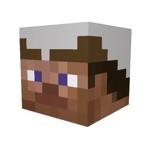 SmellySox28 Minecraft avatar head, 3D render