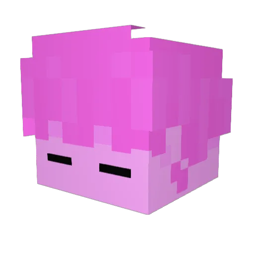 SmellyWetFemboy Minecraft avatar head, 3D render