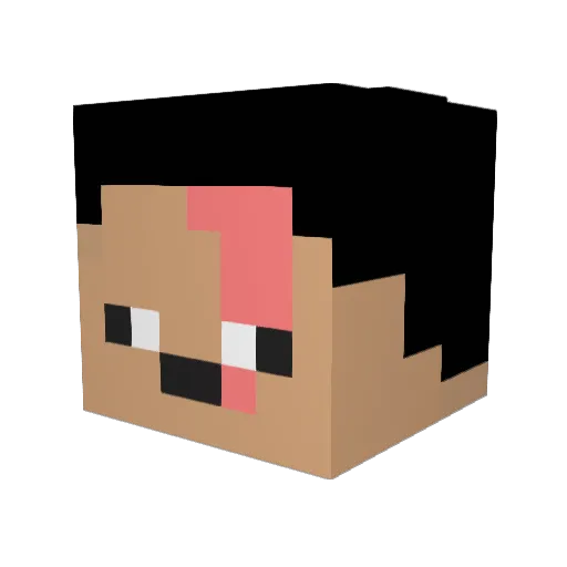 Smellyontopofpp Minecraft avatar head, 3D render