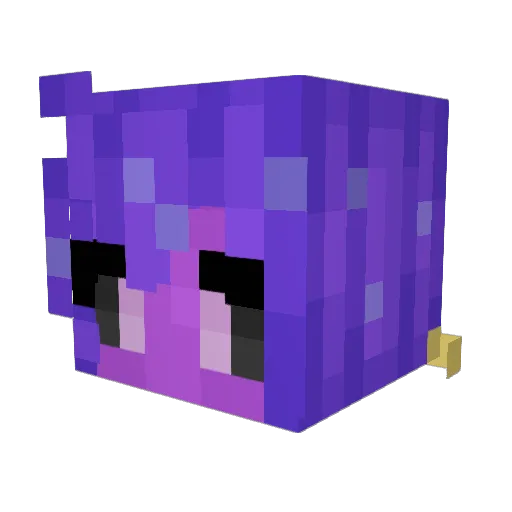 Smelt_Starverse Minecraft avatar head, 3D render
