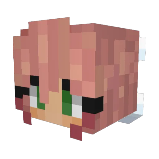 Smg_ Minecraft avatar head, 3D render