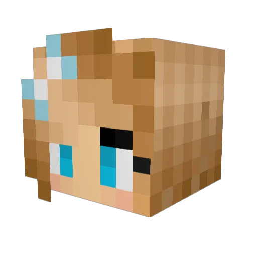 Smie2003 Minecraft avatar head, 3D render