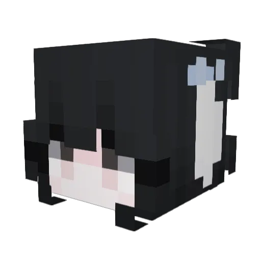 Smile2077 Minecraft avatar head, 3D render